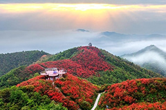 国家3A级旅游景区，萍乡+4