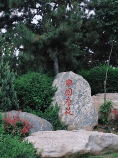 西安岁时记|白露饮秋茶 偷得半日闲