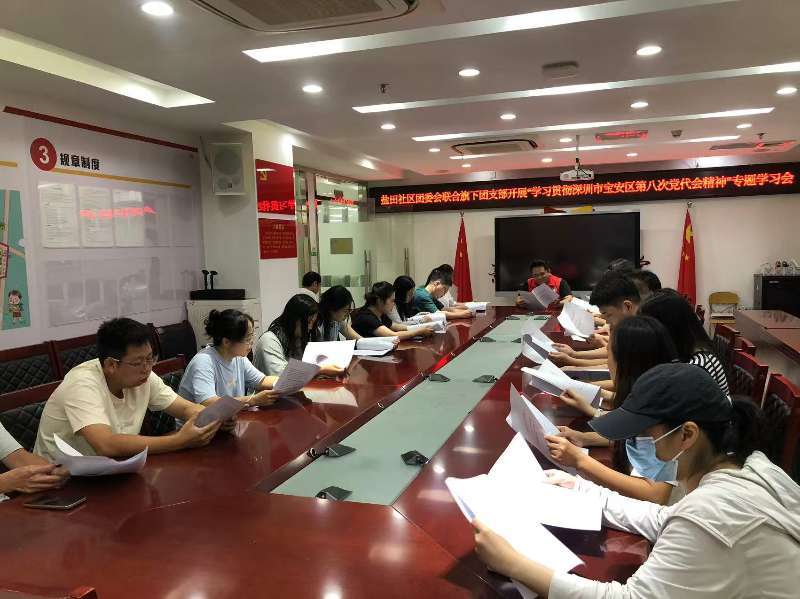 深学细悟党代会精神 青春聚力启新程—— 西乡街道盐田社区团委会开展专题学习会