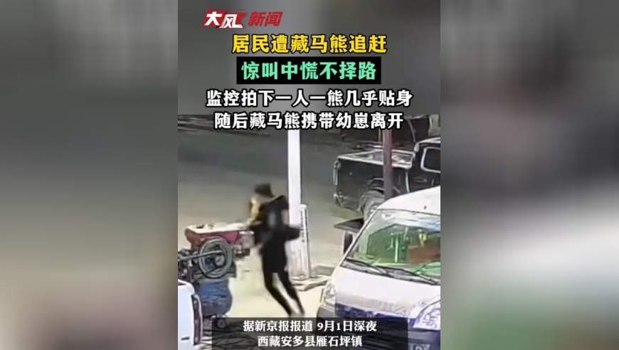 居民遭藏马熊追赶，惊叫中慌不择路；监控拍下一人一熊几乎贴身，随后藏马熊携带幼崽离开
