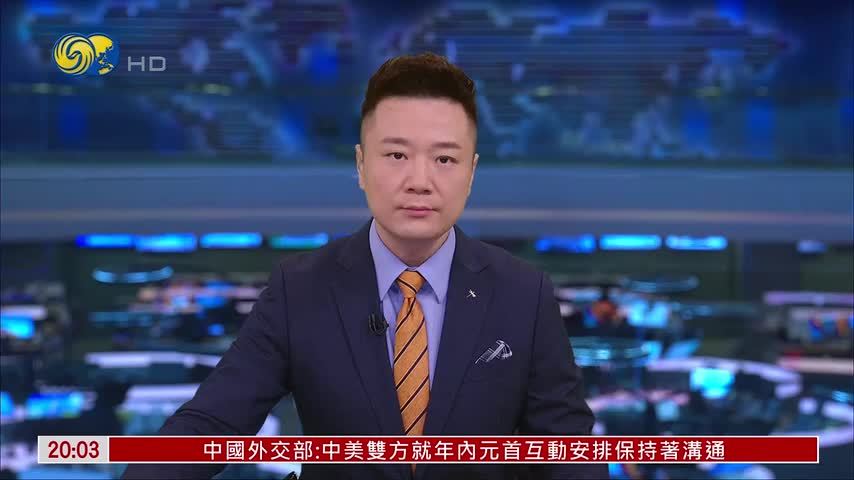 印度时隔14年再度主办金砖峰会
