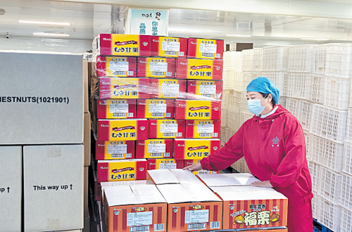 9月5日,秦皇岛百峰食品有限公司员工在清点出口海外的板栗产品。本报记者 胡洪月摄