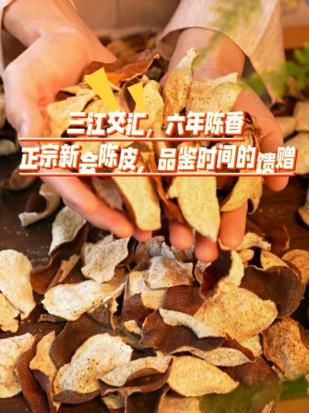 三江咸淡水滋养出的柑果，制成新会核心茶坑六年陈皮，坚守每一道工序。来凤凰卫视直播间，品鉴温润陈香。#新会陈皮 #茶坑陈皮 #六年陈皮