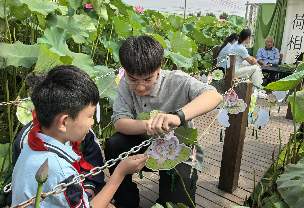 城乡联动深耕尊师风尚，徐州如何让师资温度赋能教育提质？