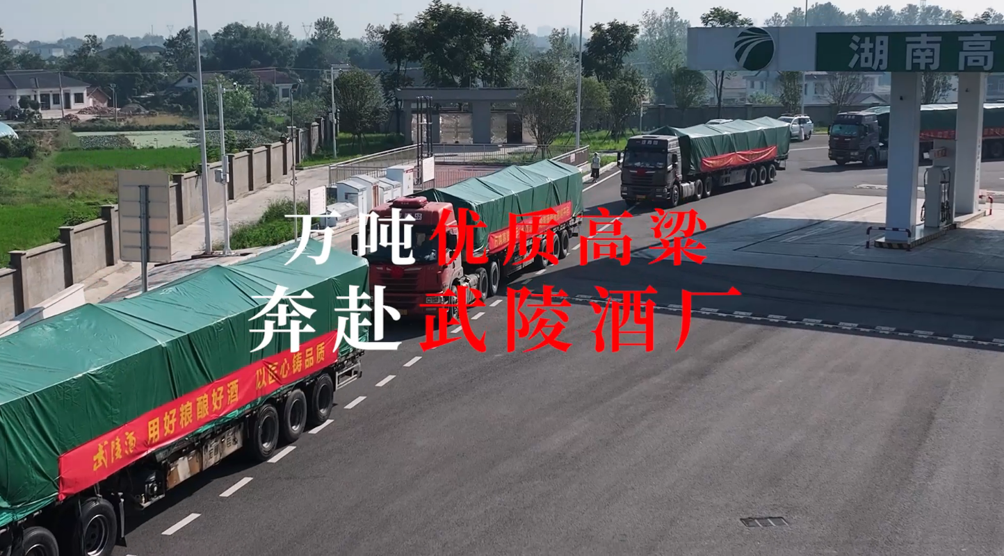 贵客来,武陵开|2026 武陵酒下沙大典圆满礼成