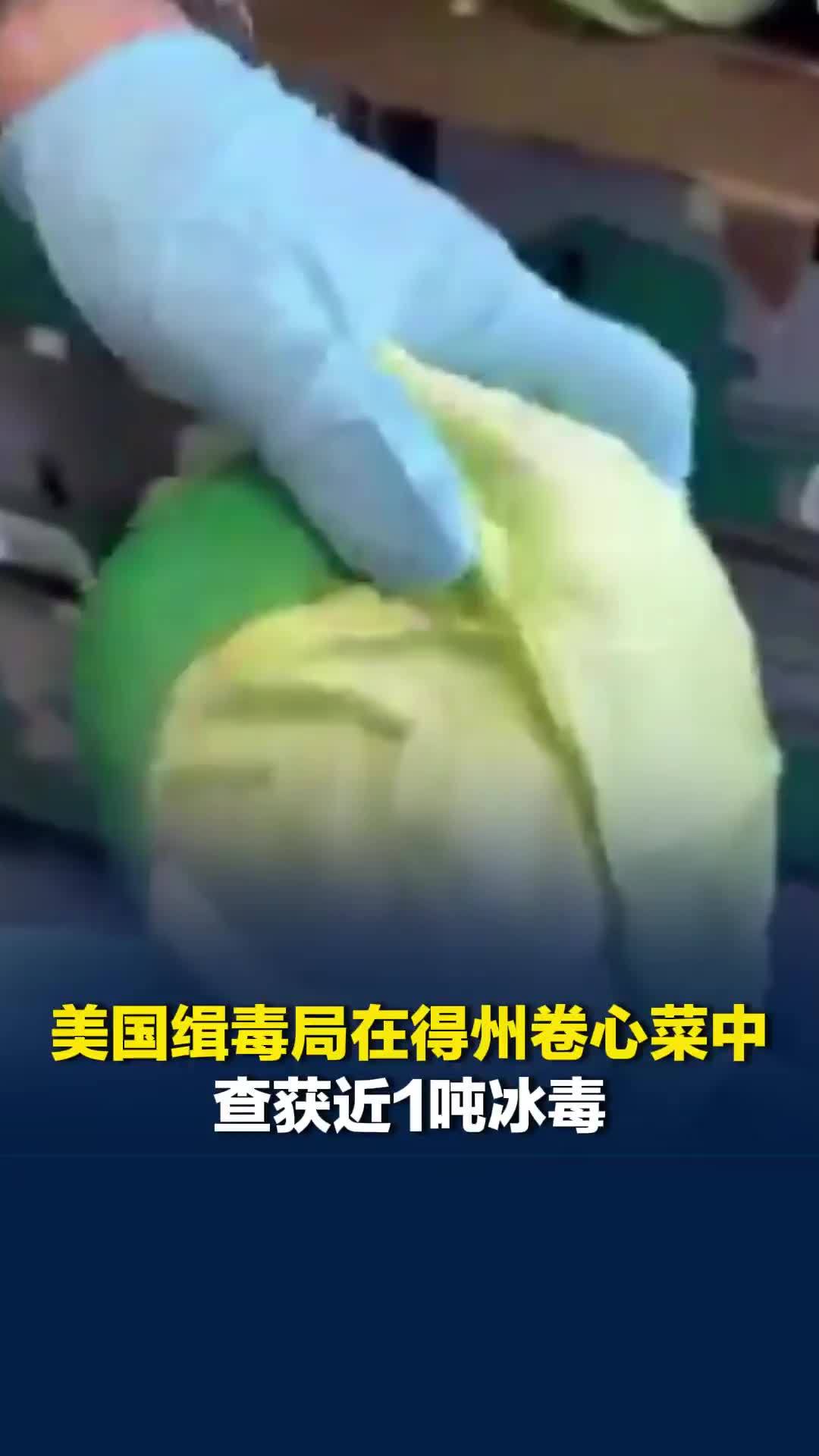 卷心菜藏毒！美国缉毒局在得州卷心菜中，查获近1吨冰毒