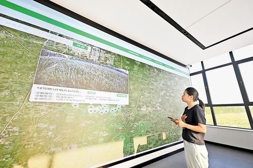 9月3日,位于威县的河北艾禾智慧农业指挥调度中心,大田作物智能决策大模型实时运行,工作人员在分析相关数据。本报记者 赵永辉摄
