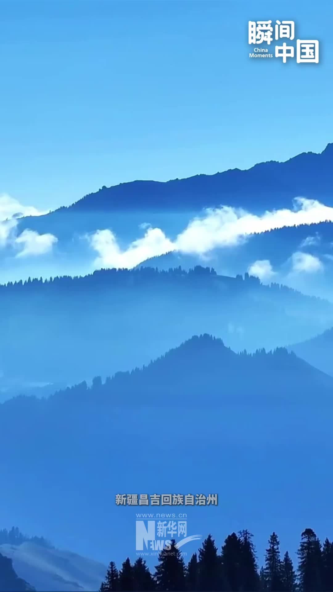 瞬间中国｜晨光穿薄雾，云海漫山林，秋日水墨尽在山野之间