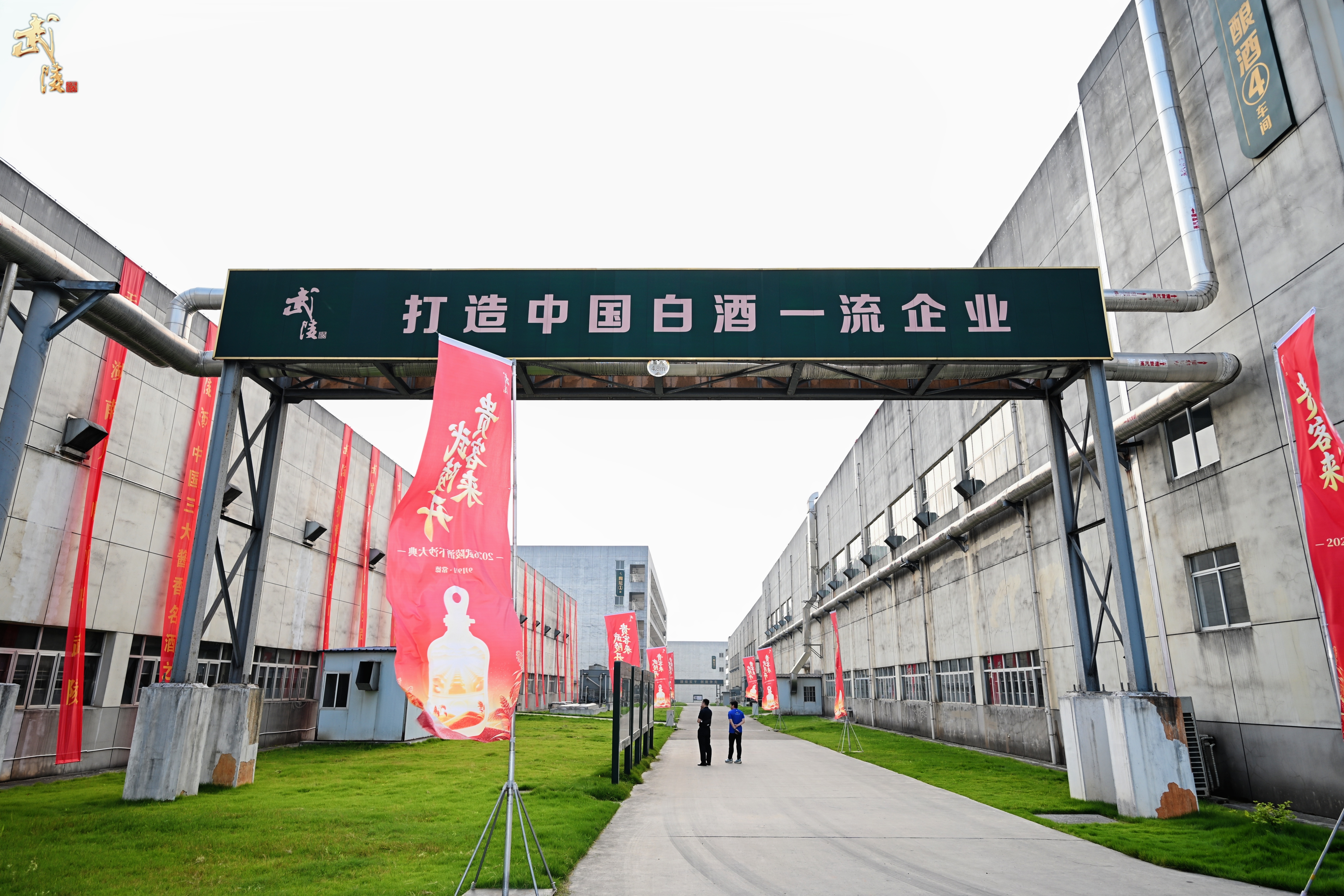 贵客来,武陵开|2026 武陵酒下沙大典圆满礼成