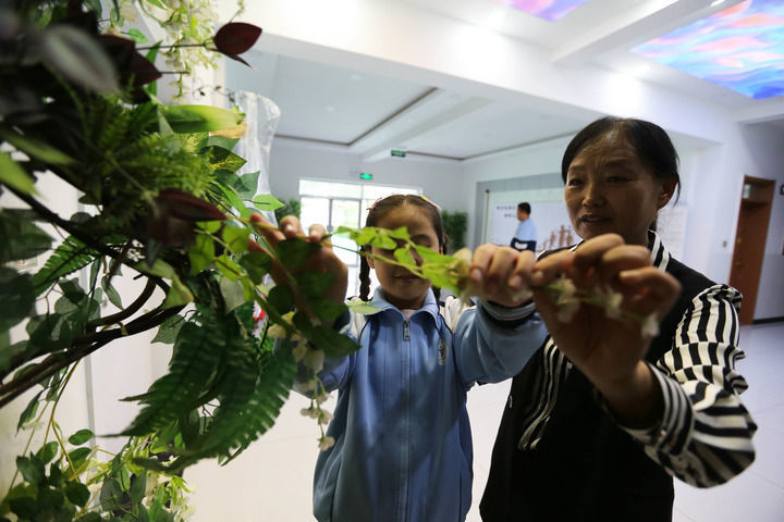 9月7日，甘肃省定西市特殊教育学校视障班班主任马凤珺带领学生触摸感知花草。