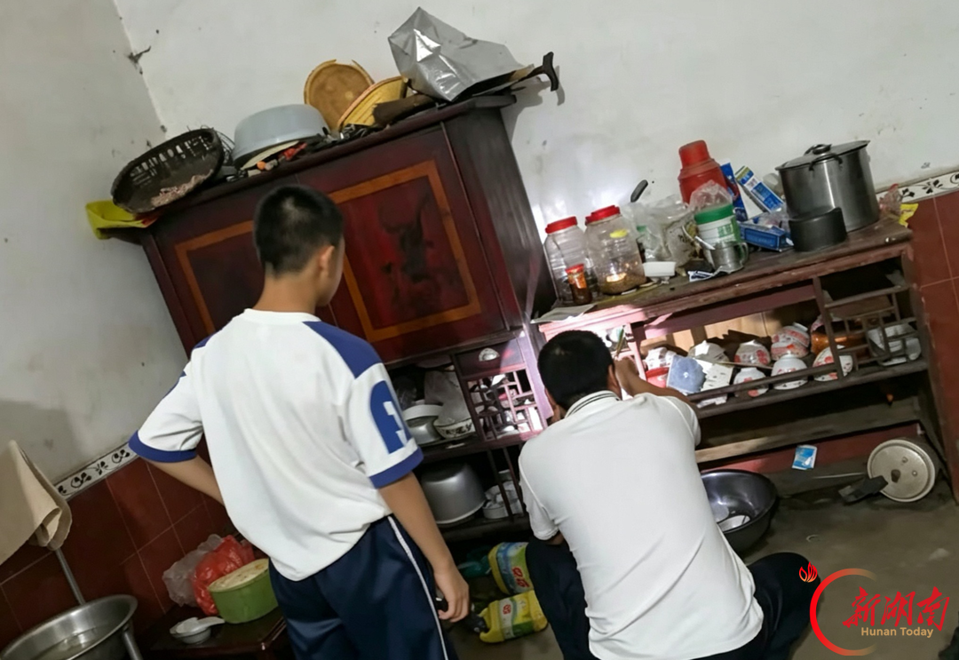 蛇蜷缩在一个老式木质碗柜内。薛丽霞 摄