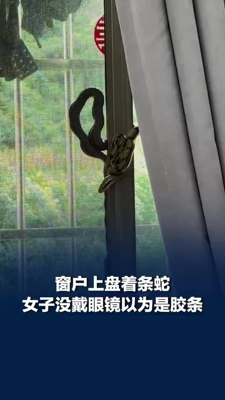 窗户上盘着条蛇女子还以为是胶条，女子发现窗上盘着条蛇人要吓没了