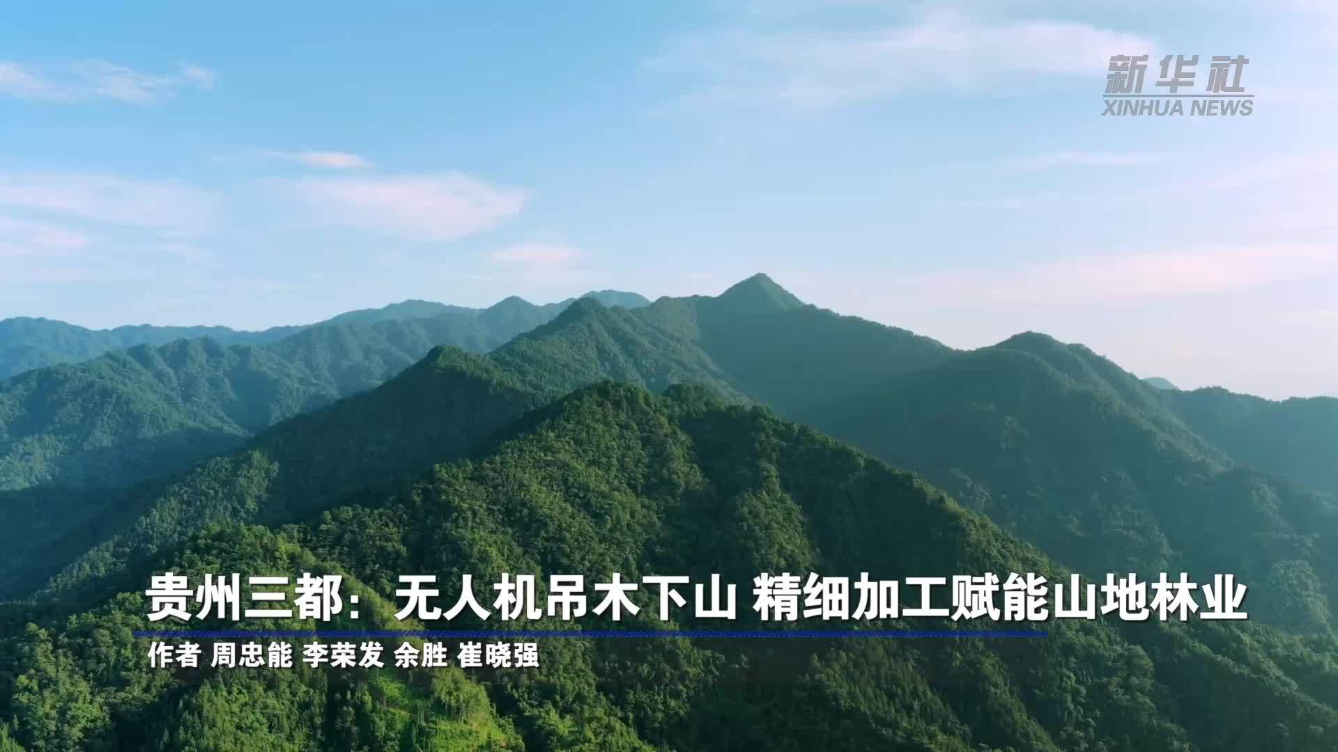 贵州三都：无人机吊木下山 精细加工赋能山地林业