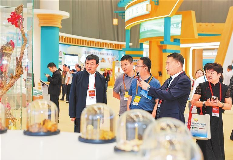 与会嘉宾在中医药文化科技展馆参观