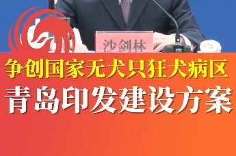 争创国家无犬只狂犬病区 青岛印发建设方案