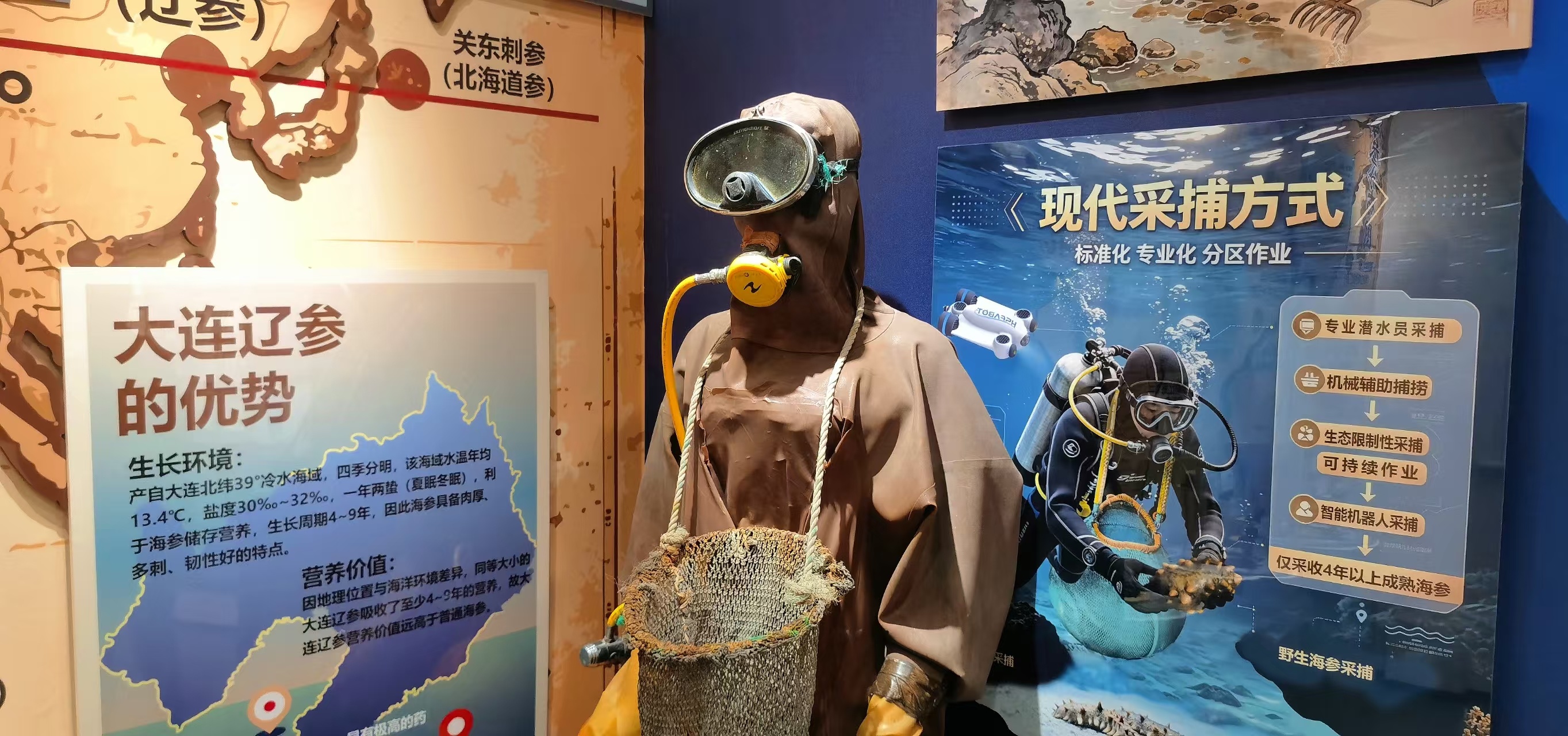 大连百年老街添新地标：大连海参文化馆亮相东关街十五号院