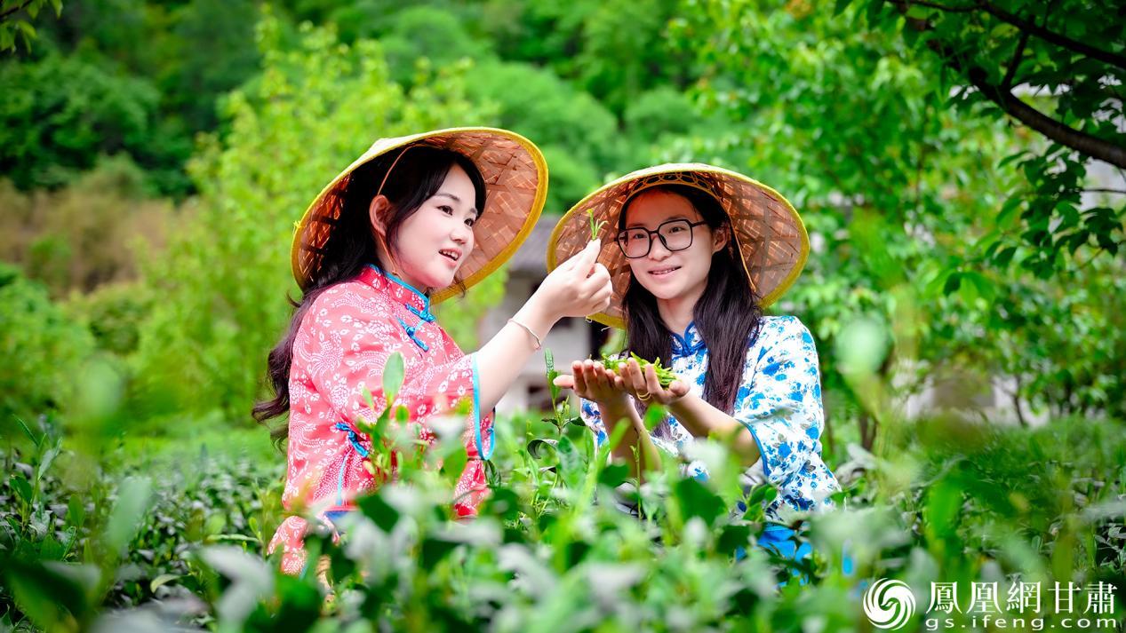 陇南市武都区裕河镇是甘肃省三大茶叶主产区之一，也是西北地区重要的茶叶集散地。李德宇　摄