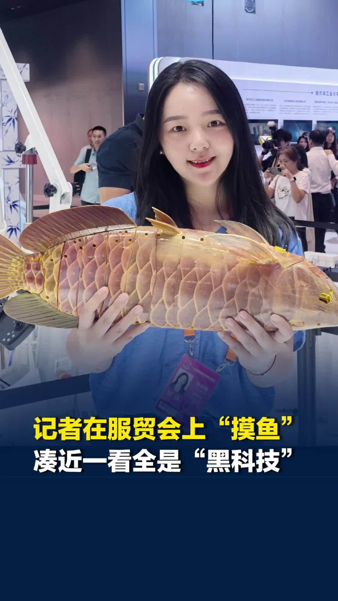 记者在服贸会上“摸鱼”，凑近一看全是黑科技，为仿生机械鱼，重达三公斤已量产百余条