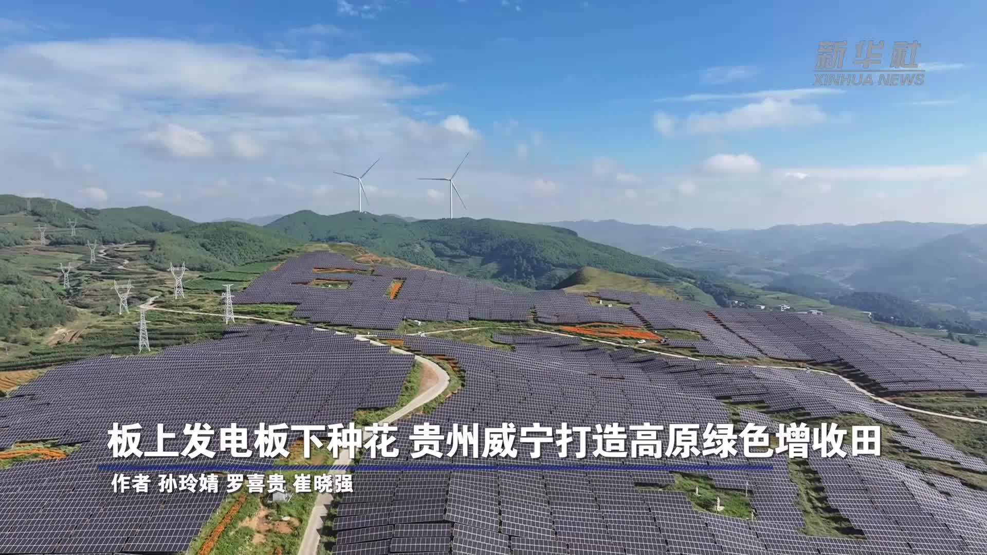 板上发电板下种花 贵州威宁打造高原绿色增收田