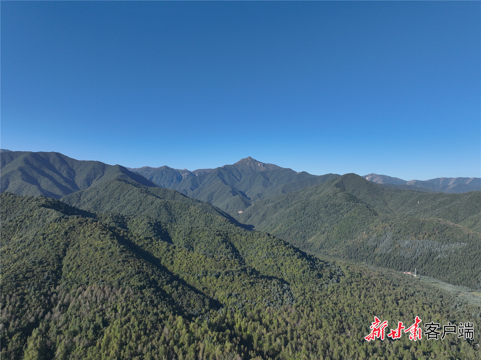 东湾保护站森林资源航拍图　本文图片由太子山国家级自然保护区提供
