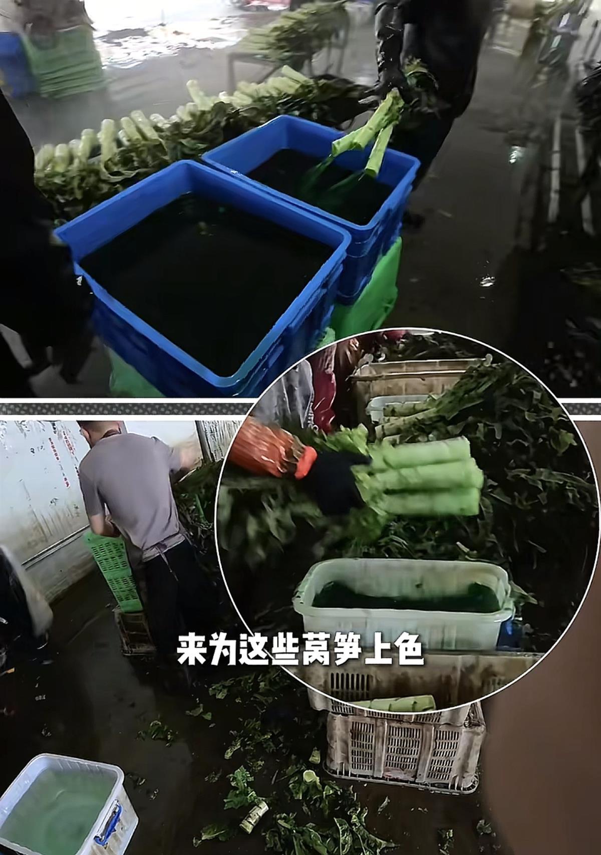 视频截图