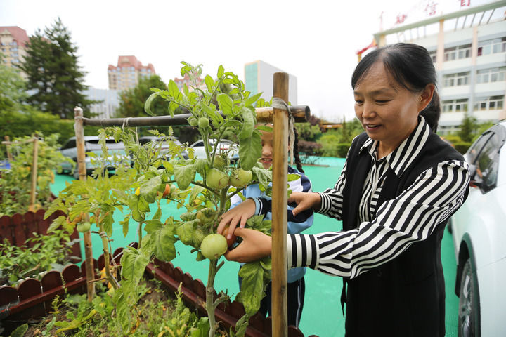 9月7日，在甘肃省定西市特殊教育学校，视障班班主任马凤珺带领学生触摸蔬菜。