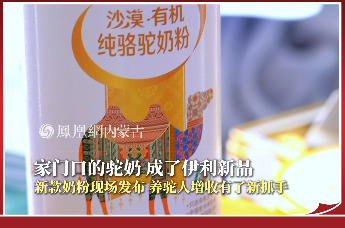 家门口的驼奶 成了伊利新品｜新款奶粉现场发布 养驼人增收有了新抓手