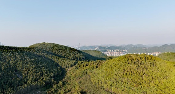 秋览藏龙涧：青山如黛 幽谷藏秀 