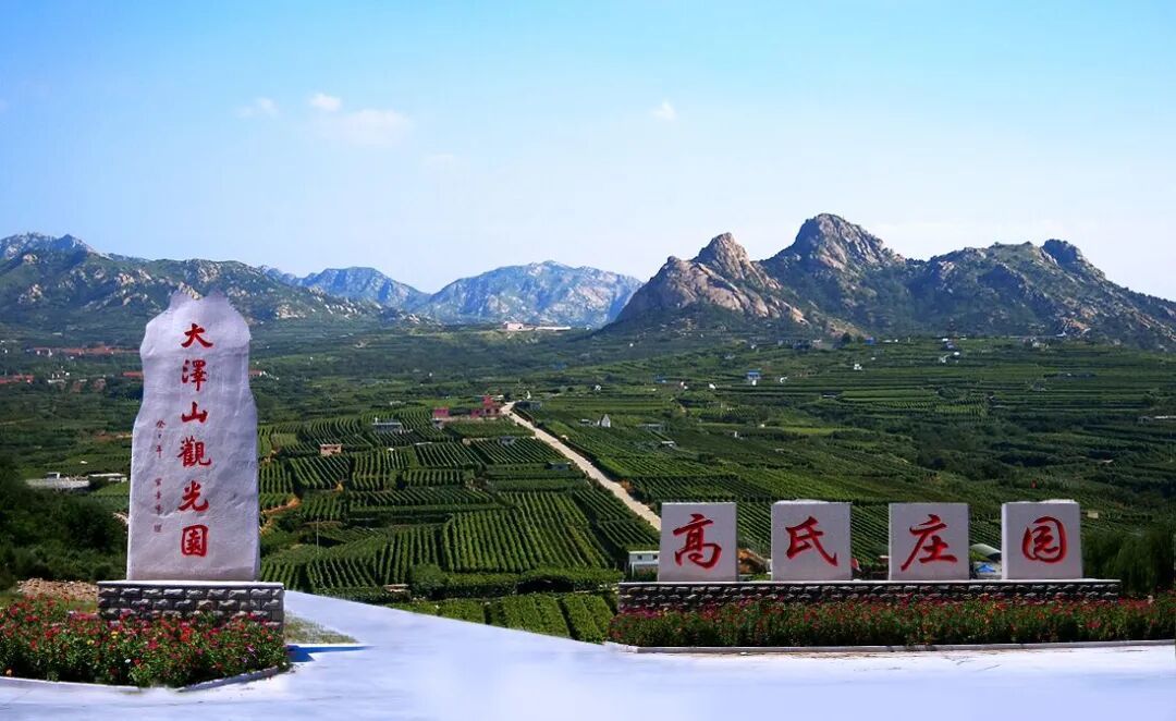 图片来源：平度宣传部