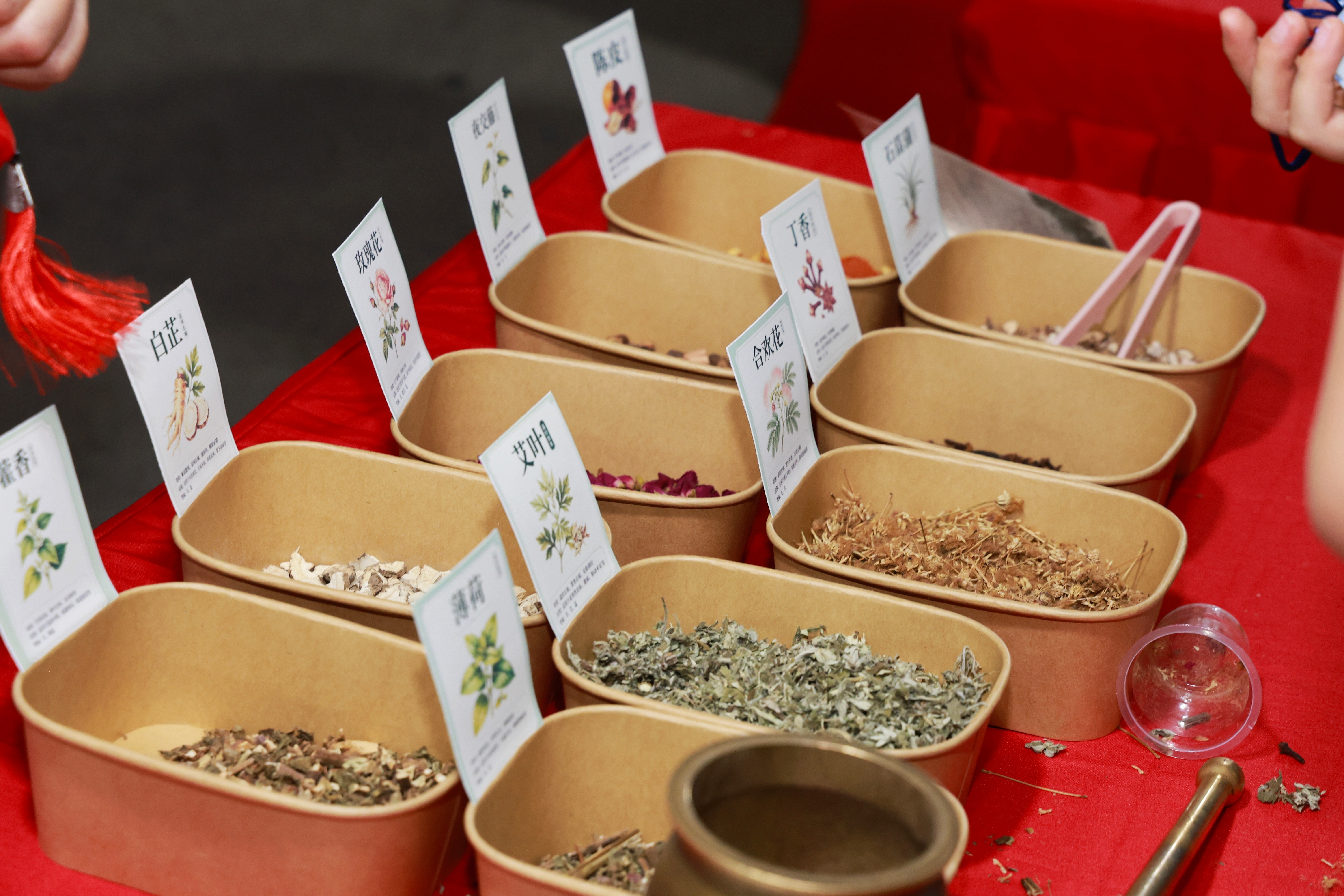 徐州云龙:湖畔药香里的城市温度