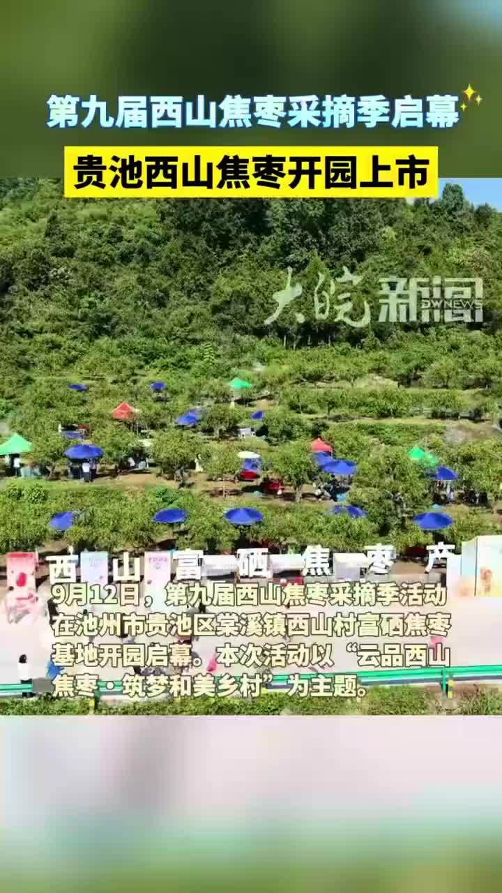 #媒体原创 第九届西山焦枣采摘季启幕 池州名品西山焦枣开园上市#池州 9月12日，伴随着第九届西山焦枣采摘季活动启幕，池州知名农特产西山焦枣开园采摘。在池州市贵池区棠溪镇西山村活动现场，众多助农主