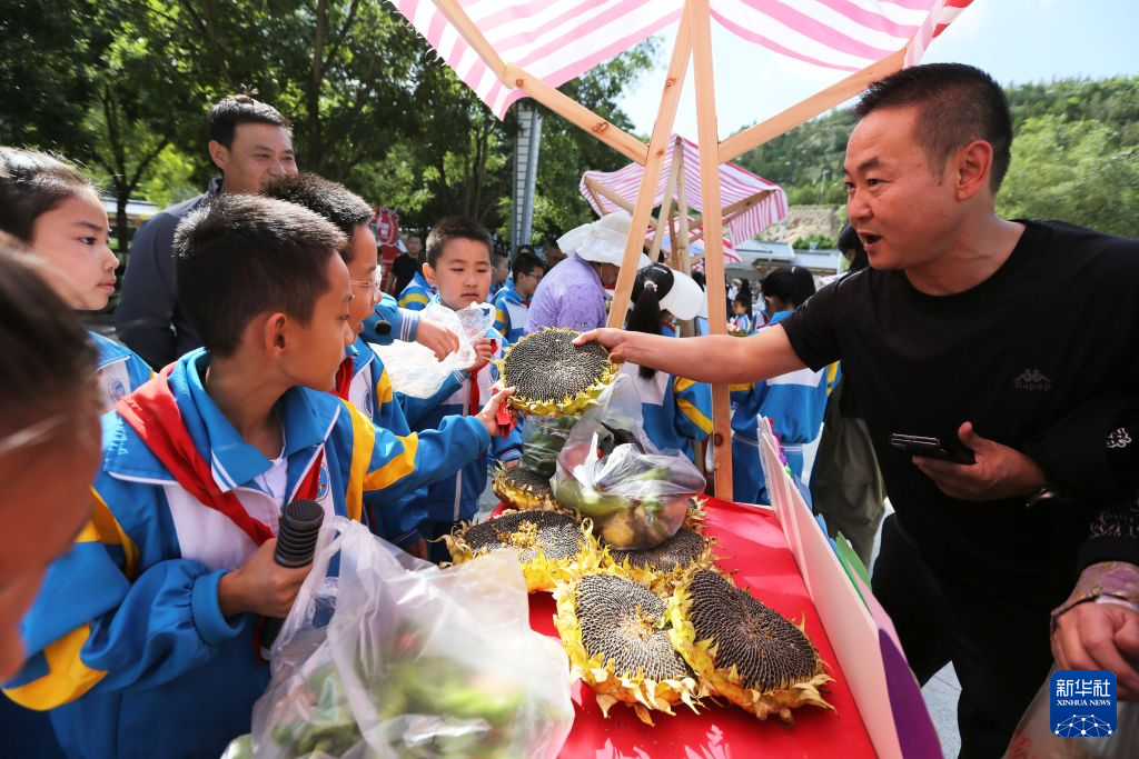 9月11日，公园路小学学生在义卖现场向市民推销自己种植的向日葵。新华社发（王克贤　摄）