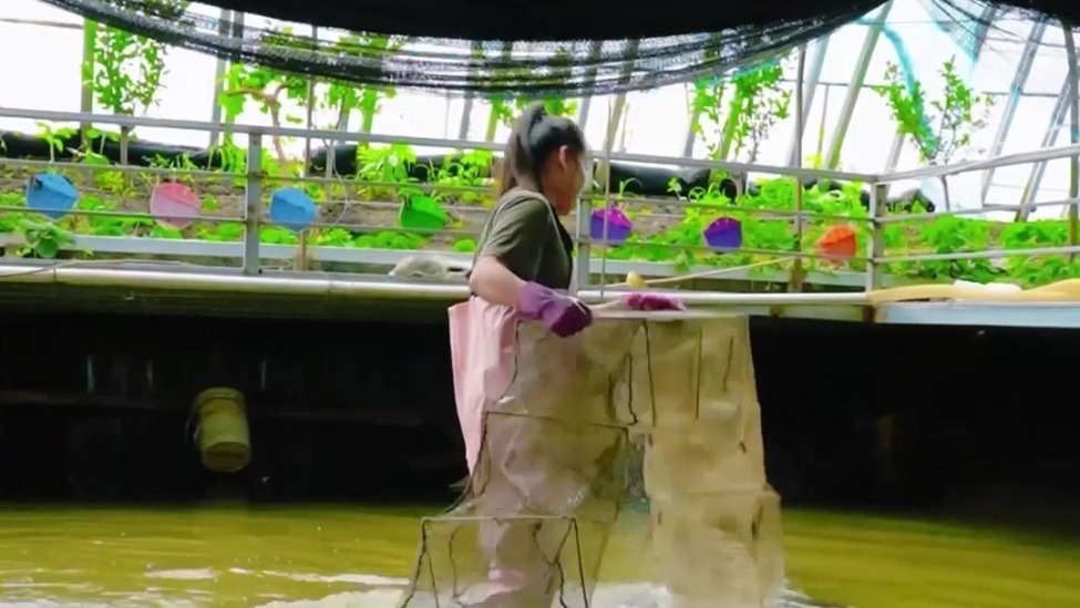 青春华章·筑梦龙江 | 项佳新：“项木兰”归田