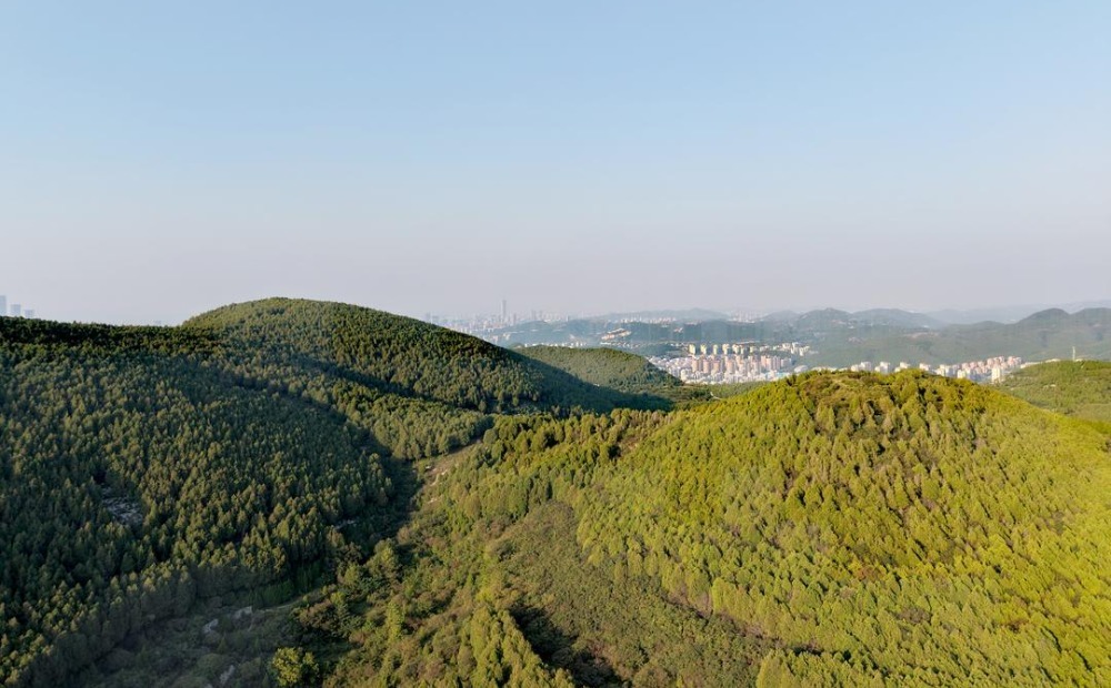 秋览藏龙涧：青山如黛 幽谷藏秀 