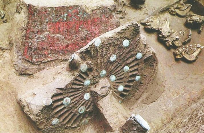 M51号墓葬出土的随葬车右轮