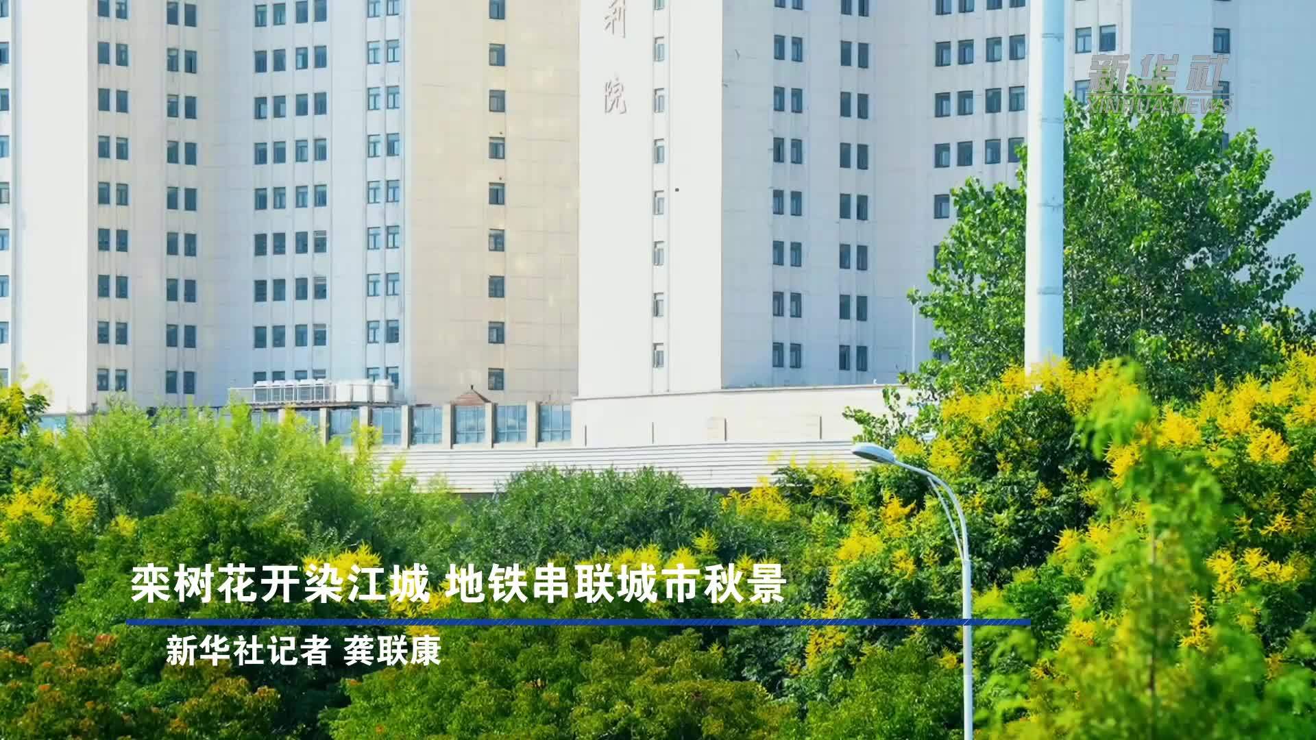 栾树花开染江城 地铁串联城市秋景