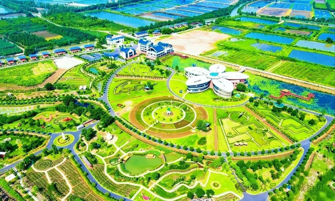 岭南大地百草园丨千鸟闹林寻本草,五行入馆悟岐黄