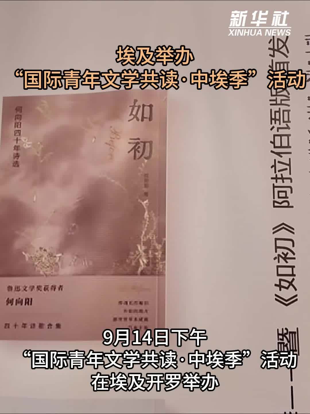埃及举办“国际青年文学共读·中埃季”活动
