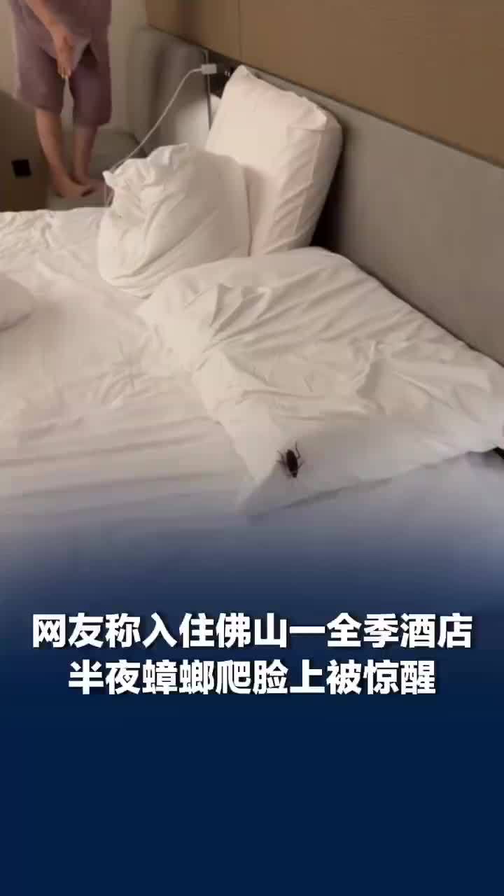 网友入住全季酒店半夜被蟑螂爬脸，酒店：还在协商，已安排消杀