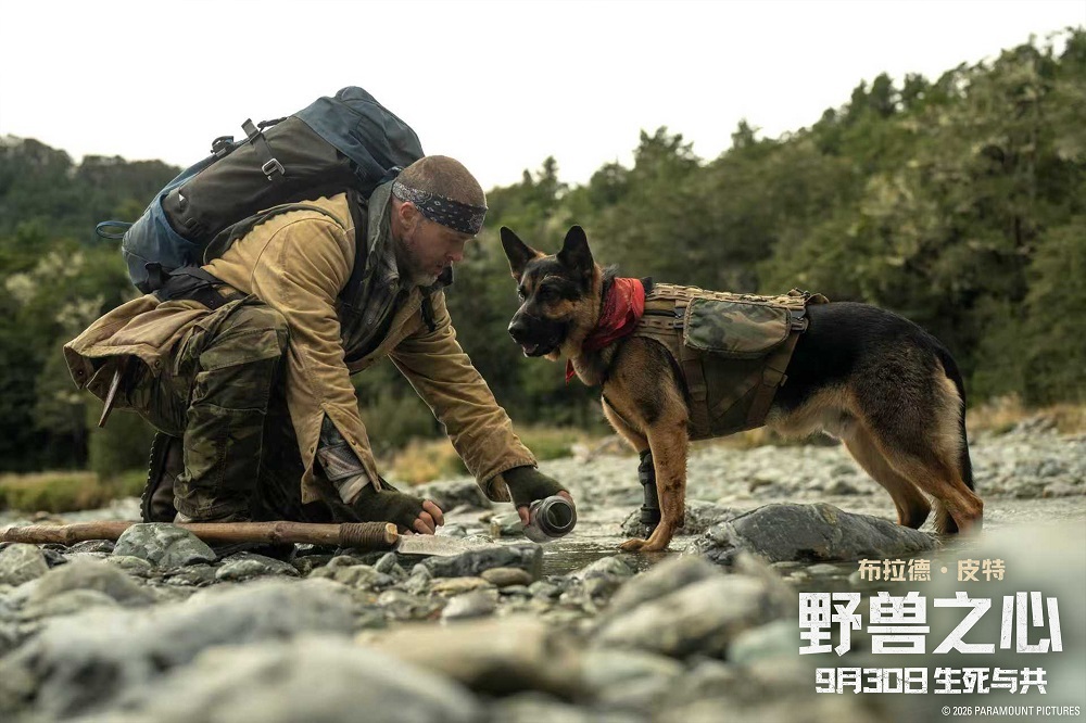 布拉德·皮特新片《野兽之心》发布“狗狗影帝”特辑 电影头号演员竟是它