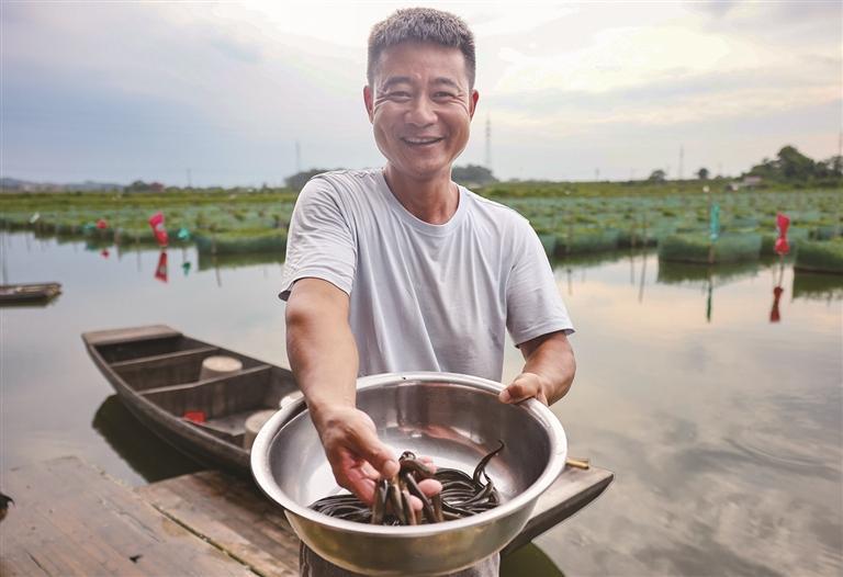 万年县：网箱养鳝获丰产（图）