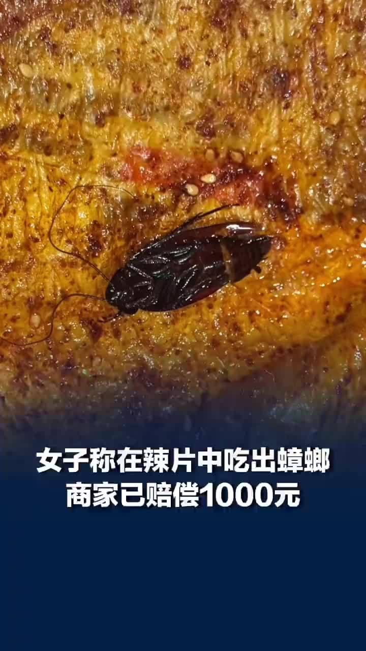 女子吃源氏辣片吃出蟑螂，商家已赔偿1000元，问题商品将寄回