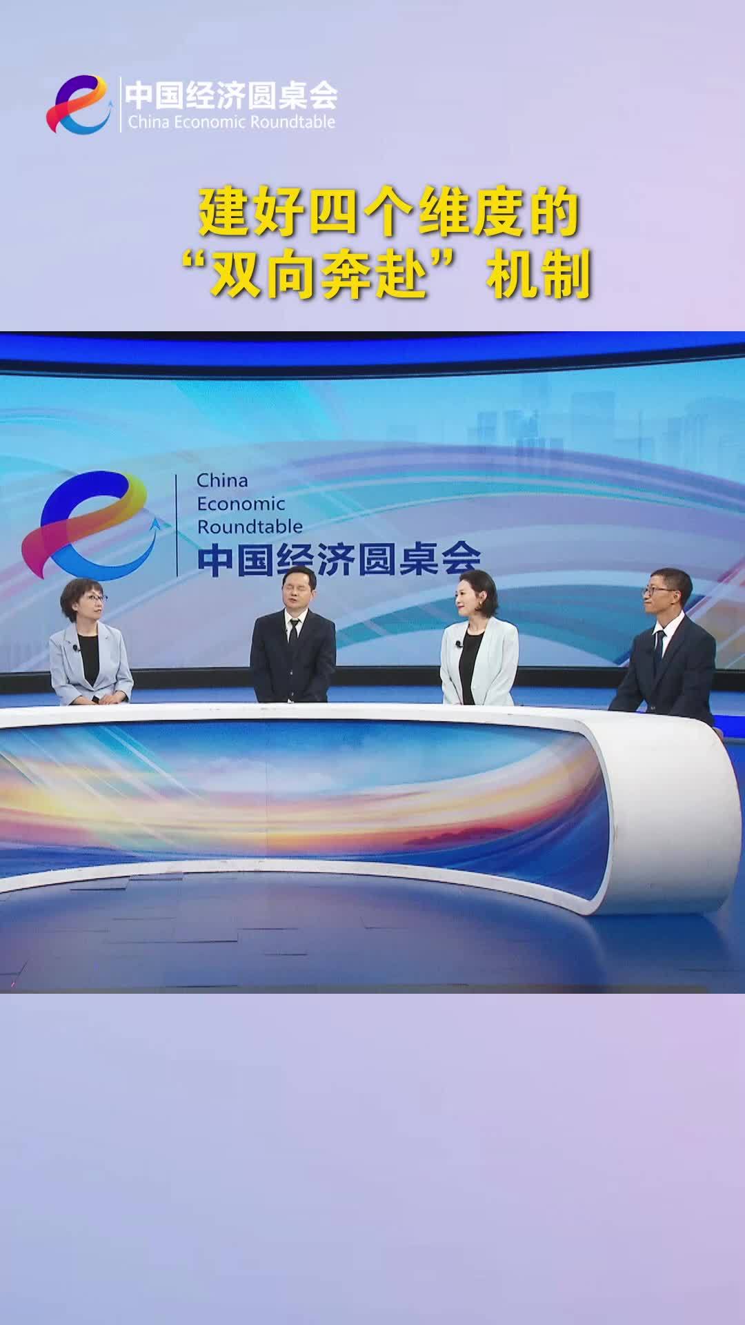 中国经济圆桌会｜建好四个维度的“双向奔赴”机制