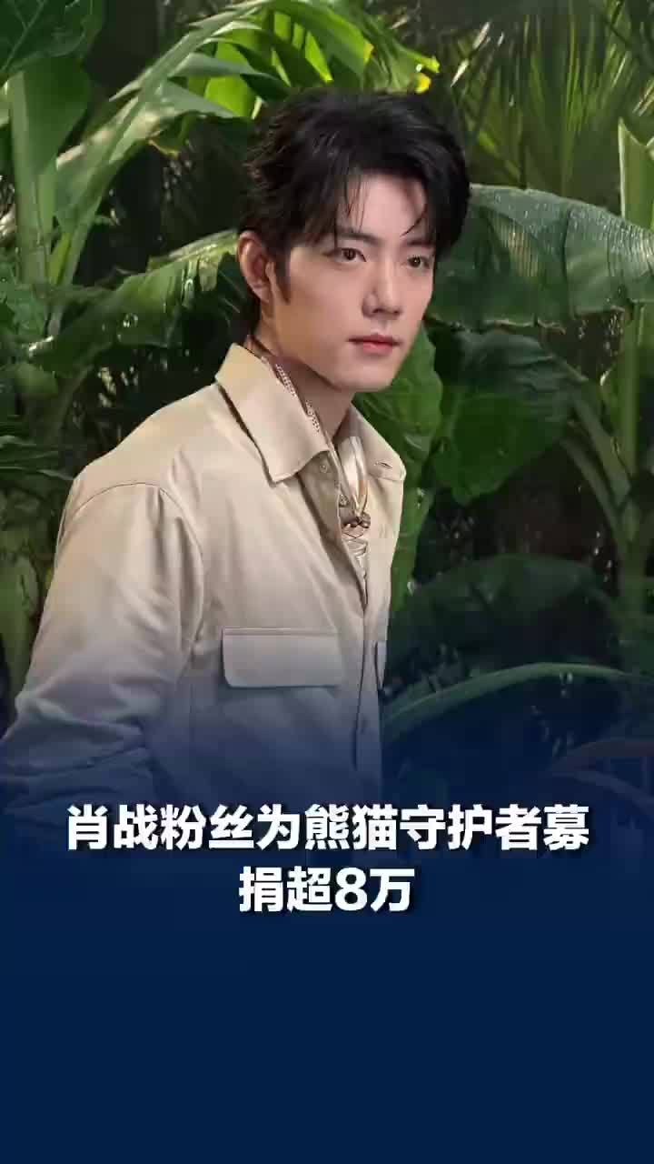 追光的人也在发光，肖战粉丝为熊猫守护者募捐超8万