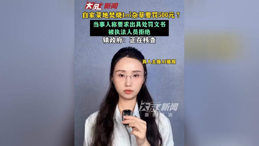 自家菜地焚烧1平方米杂草要罚500元？当事人称要求出具处罚文书被执法人员拒绝；镇政府：正在核查
