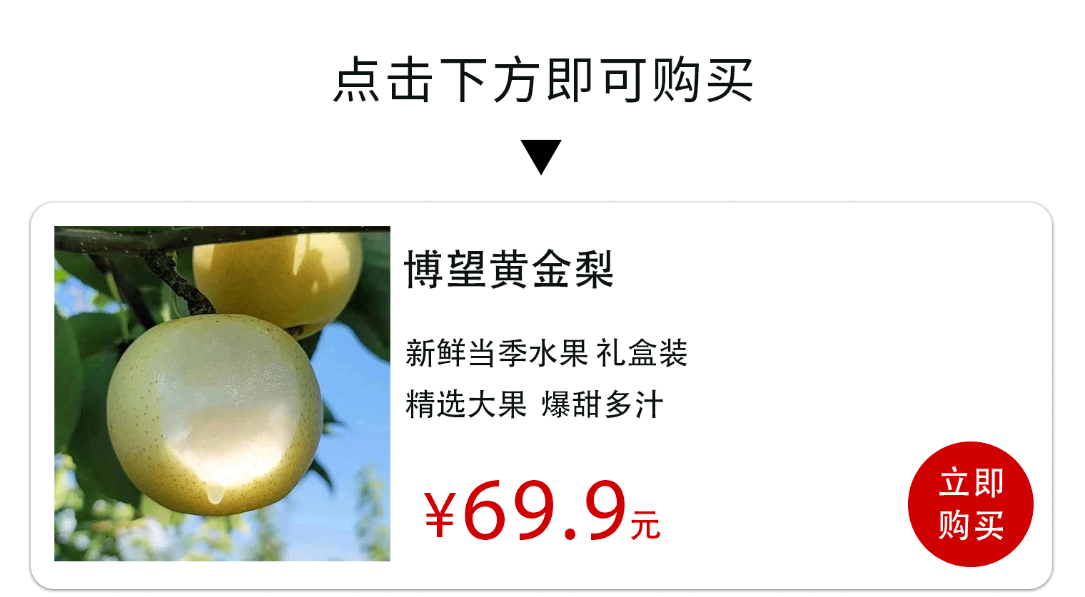 河南这个小镇，种出的梨能“喝”着吃？