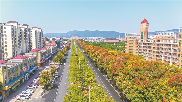 美丽家园（图）