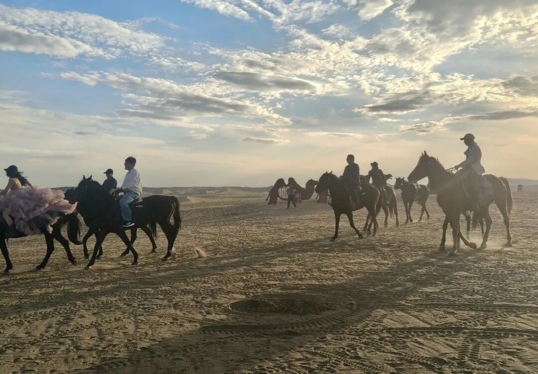 策马骑行