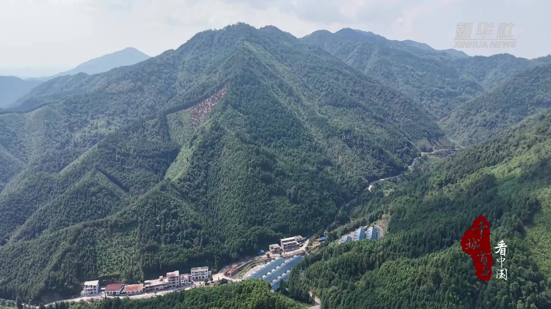 千城百县看中国丨湖南新田：草药做酒曲 瑶乡米酒香