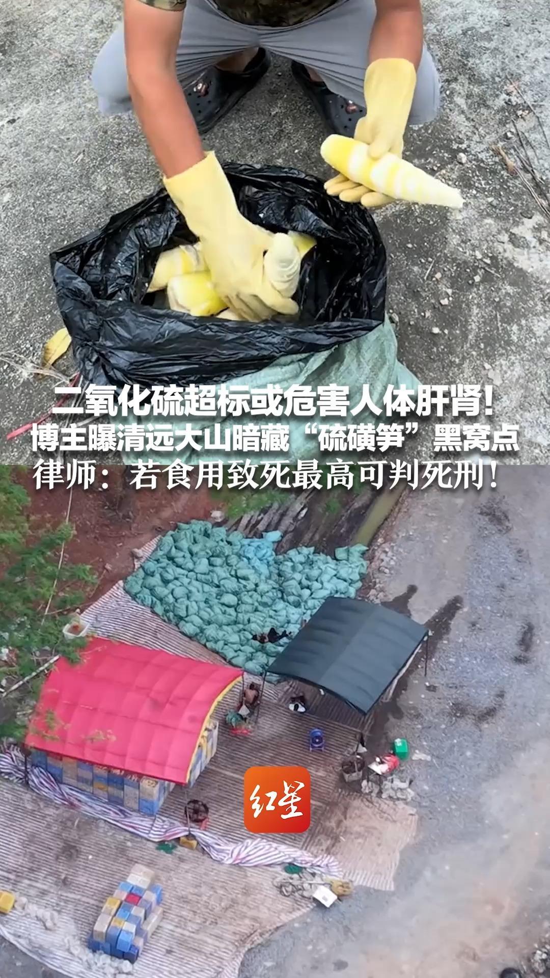 二氧化硫超标或危害人体肝肾！博主曝清远大山暗藏“硫磺笋”黑窝点 警方已对涉案人员采取措施 律师：若食用致死最高可判死刑